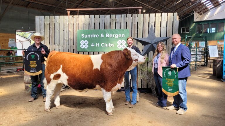 Sundre And Bergen 4-H Multi Clubs Show And Sale Results