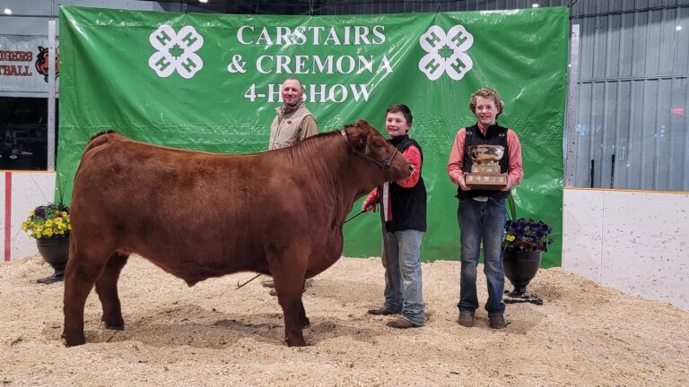 Results From 81st Annual Carstairs And Cremona 4-H Show And Sale