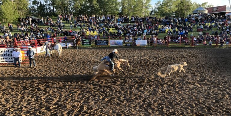 Unofficial Results From 2024 Daines Ranch Pro Rodeo