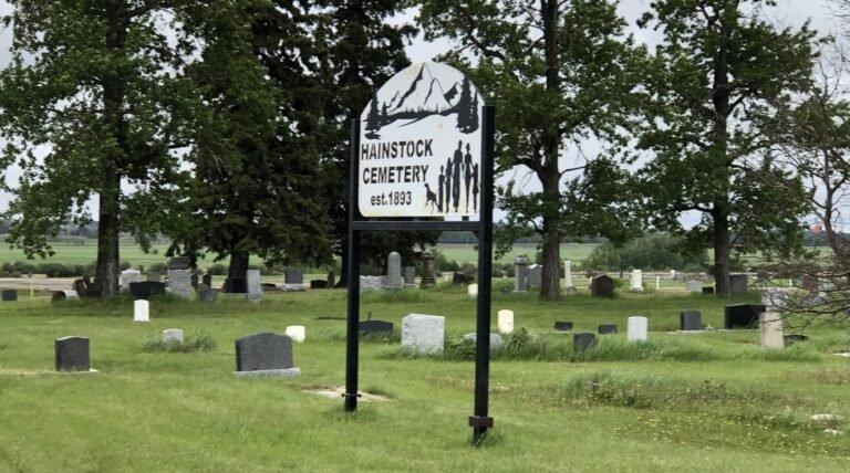 Annual Hainstock Cemetery Clean Up On June 9