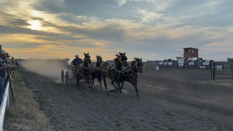 Chuckwagon Driver from Olds up for the challenge of ‘taking a run at it’ on WPCA circuit