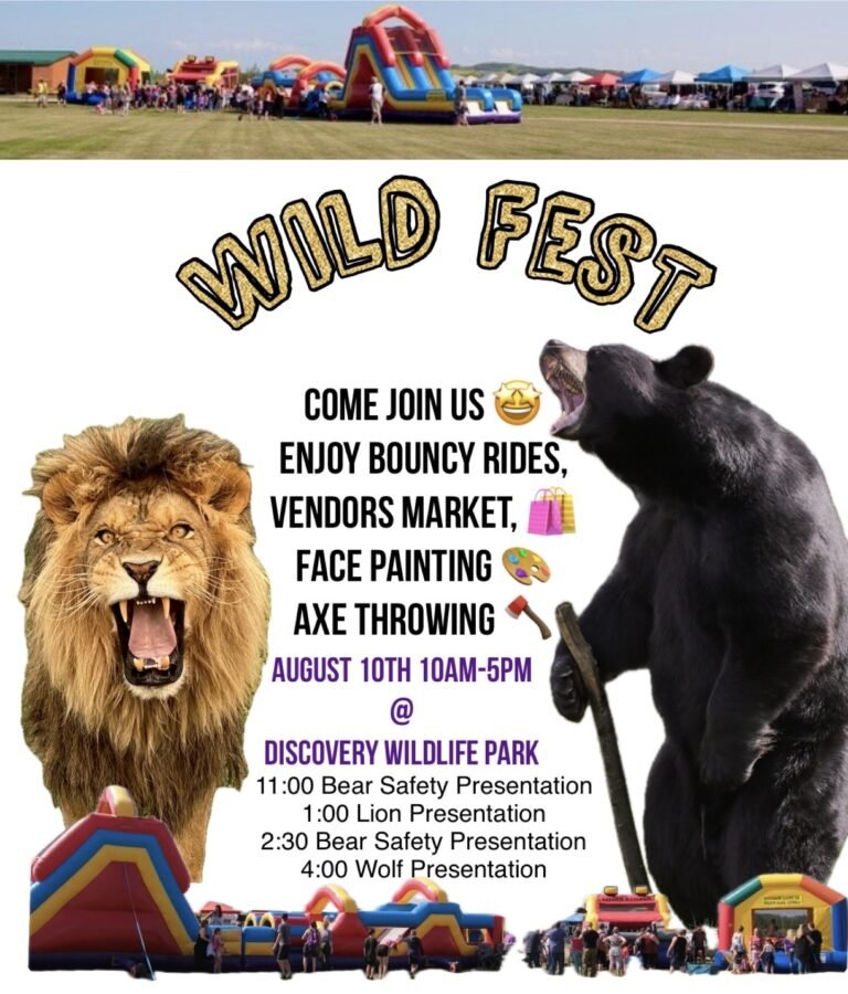 Wild Fest 2024 On August 10