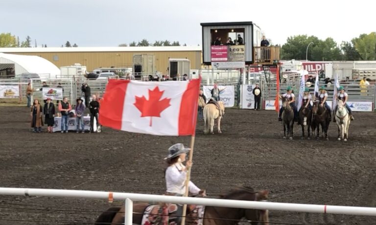 Final bull rider to go provides thrilling finish at 2024 Oldstoberfest Pro Rodeo