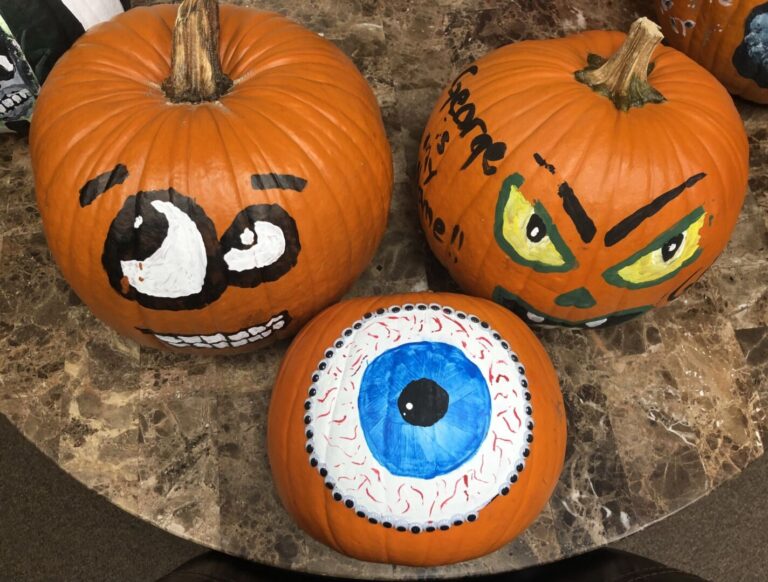 Painted pumpkins fundraiser provides autumn donation to Mountain View Food Bank