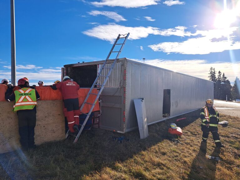 Red Deer County Livestock Response Unit Innisfail RCMP attend scene of overturned cattle hauler My Mountain View Now