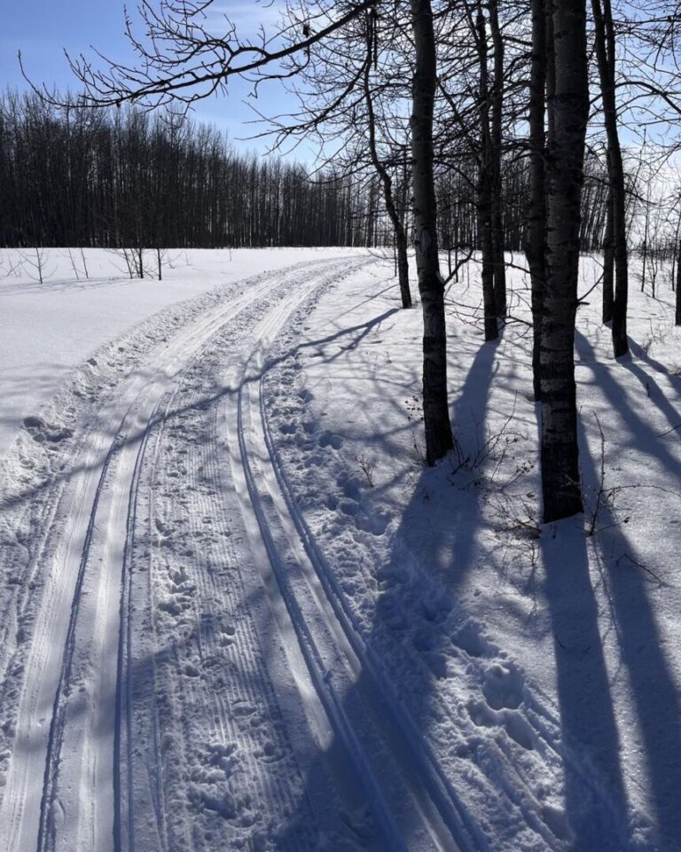 Mountain View Nordic Ski Club Annual General Meeting Is Tonight