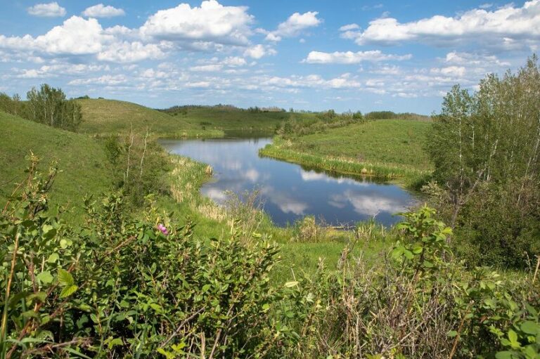 Alberta Investing In Wetland Conservation